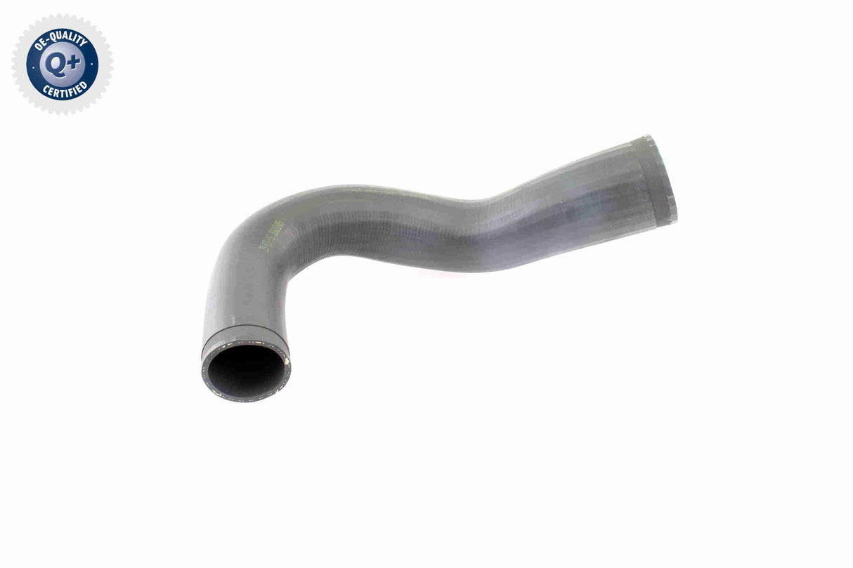 Charge Air Hose - V40-1365