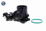 Throttle Body - V25-81-0013