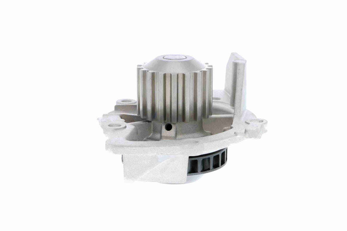 Water Pump, engine cooling - V22-50024