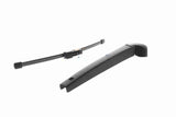 Wiper Arm, window cleaning - V10-6849