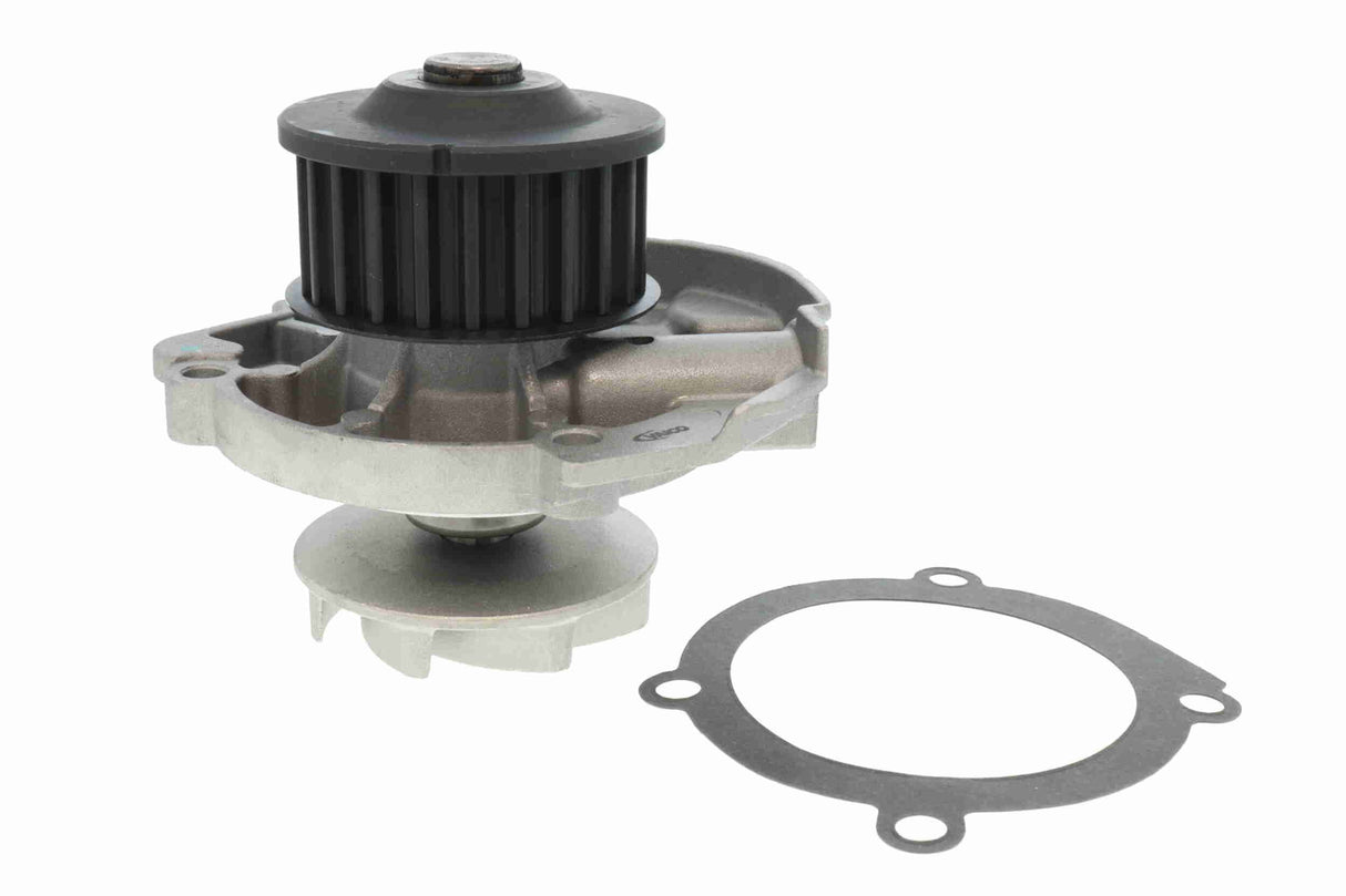 Water Pump & Timing Belt Kit - V24-50022