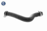 Radiator Hose - V58-0311