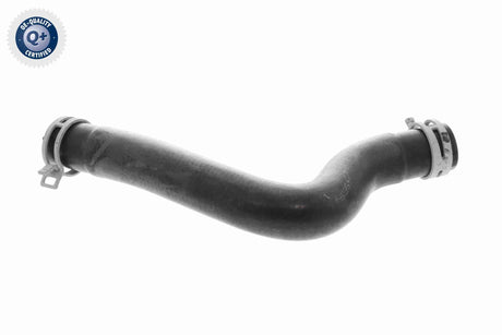 Radiator Hose - V58-0311