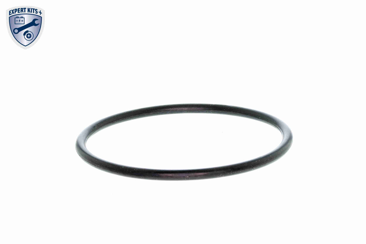 Thermostat Housing - V30-99-0108-1