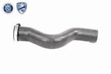 Charge Air Hose - V38-0488