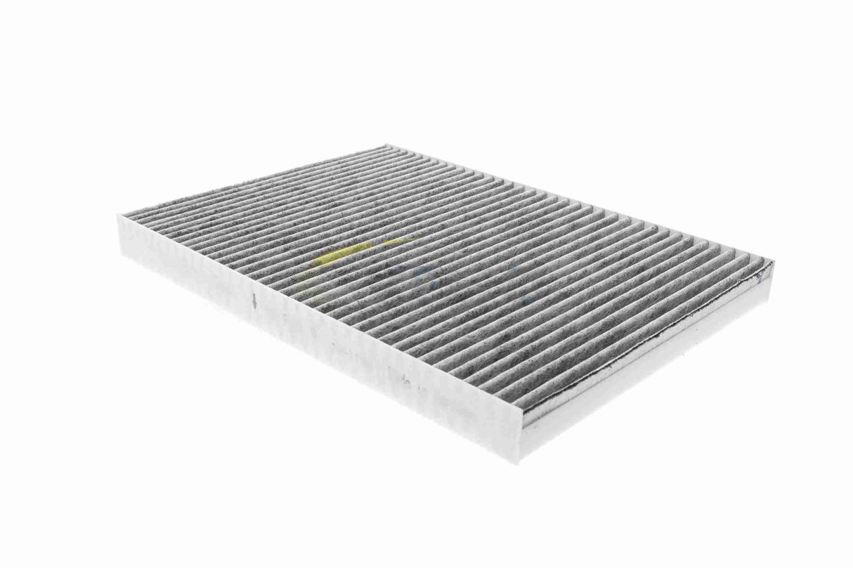 Filter, cabin air - V10-31-1013