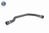 Radiator Hose - V20-2399