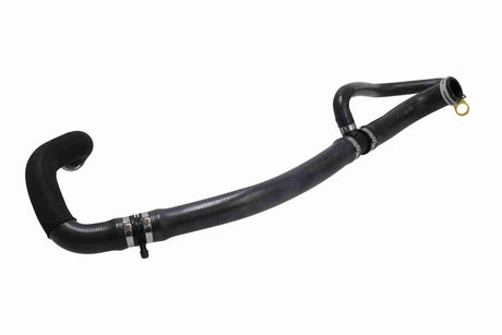 Radiator Hose - V46-1974