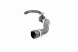 Radiator Hose - V20-1676