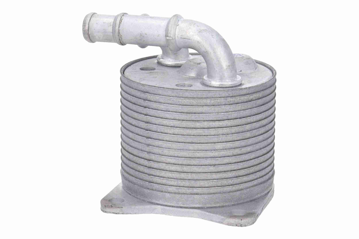 Oil Cooler, automatic transmission - V22-60-0064