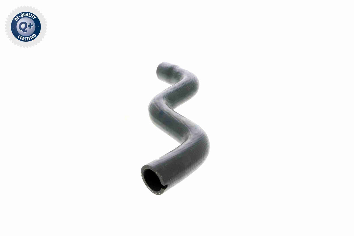 Radiator Hose - V24-0875