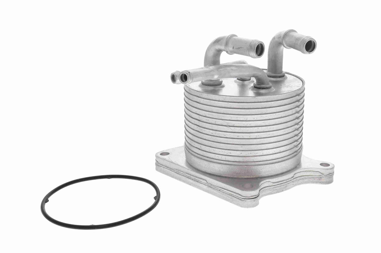 Oil Cooler, automatic transmission - V33-60-0012
