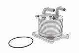 Oil Cooler, automatic transmission - V33-60-0012