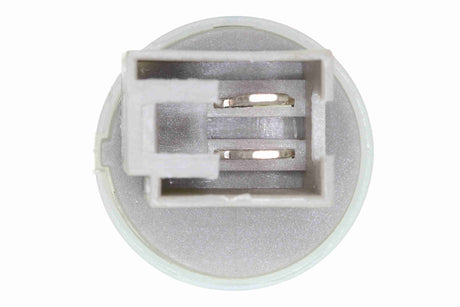 Switch, clutch control (cruise control) - V24-73-0039