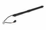 Electric Motor, tailgate - V48-55-0010