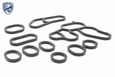 Oil Cooler, engine oil - V24-60-0020