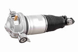 Air Suspension Strut - V10-50-0004