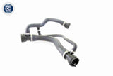 Radiator Hose - V20-0877
