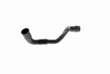 Hose, crankcase ventilation - V10-9768