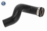 Charge Air Hose - V46-1396