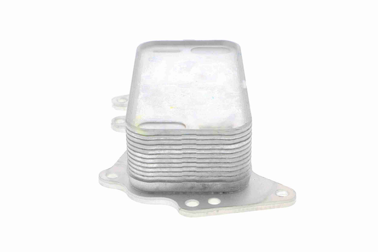 Oil Cooler, engine oil - V20-60-0041