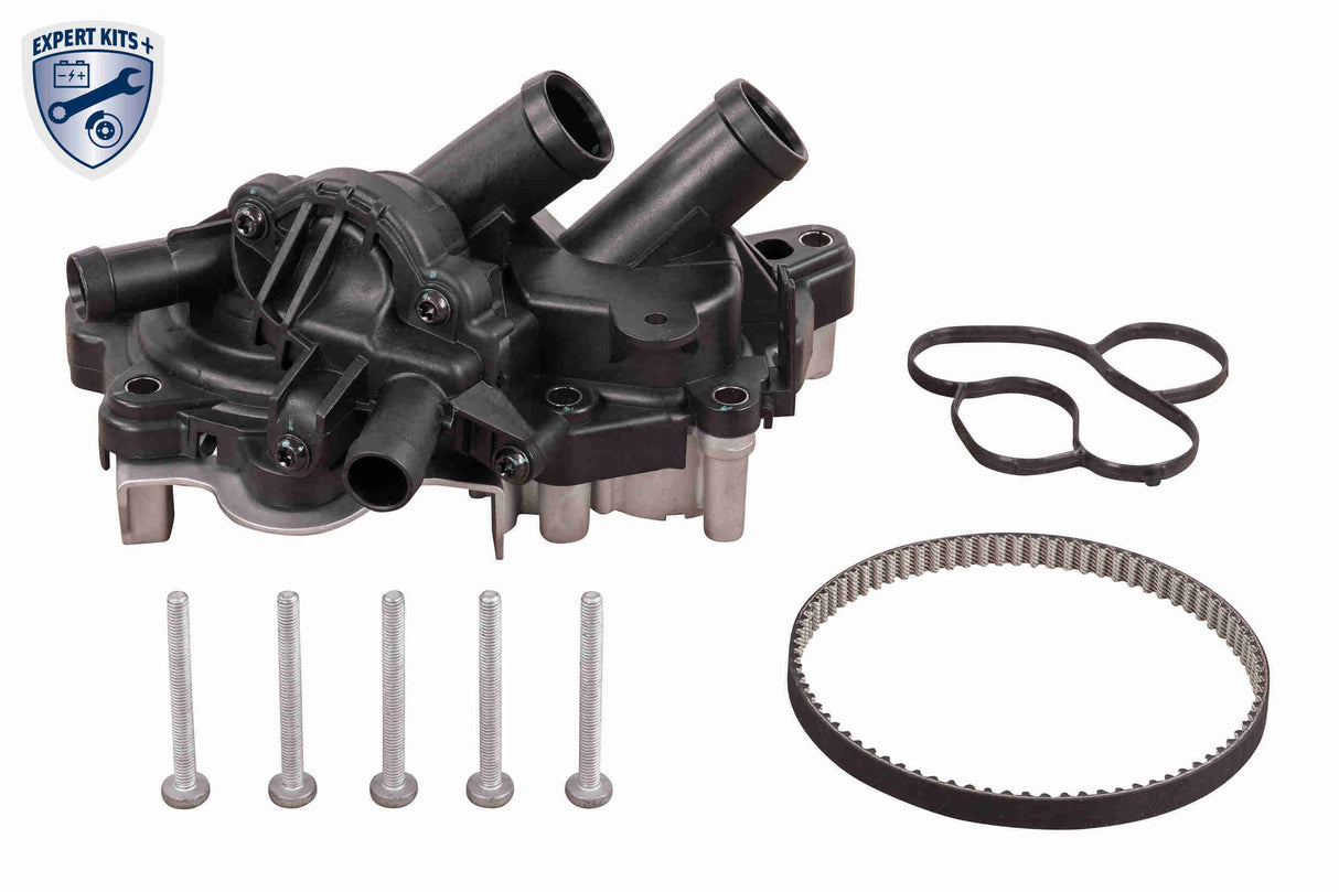 Water Pump & Timing Belt Kit - V15-99-2131