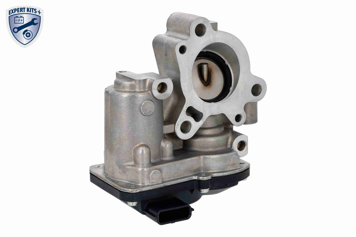 Valve, exhaust gas recirculation - V30-63-0096