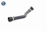 Radiator Hose - V20-1763