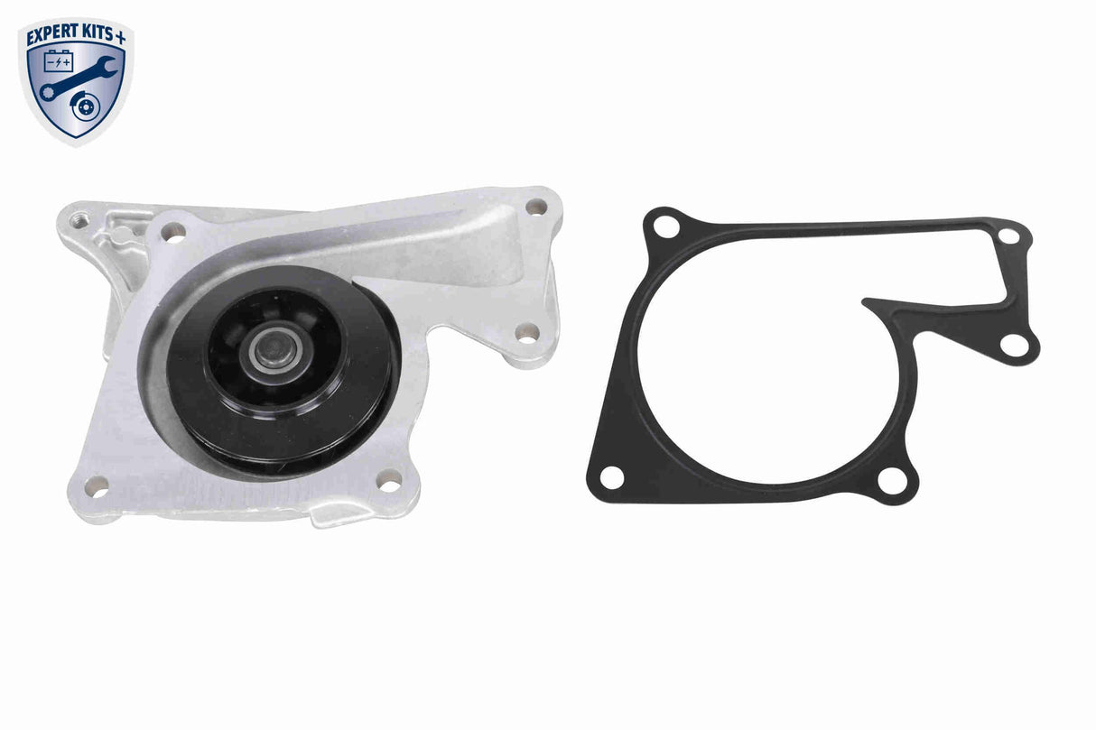 Water Pump & Timing Belt Kit - V46-50028