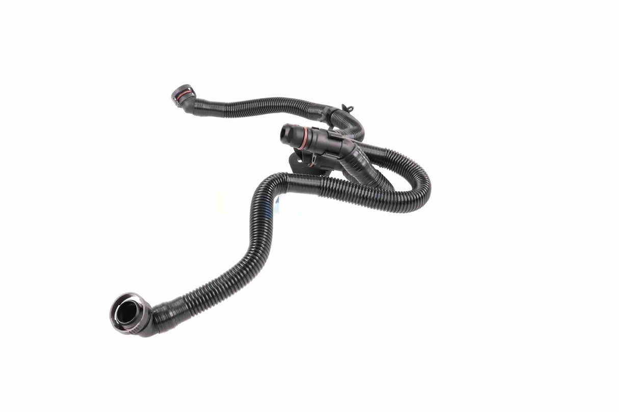 Hose, crankcase ventilation - V10-5458
