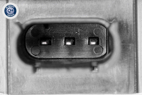 Switch, headlight - V20-73-0027