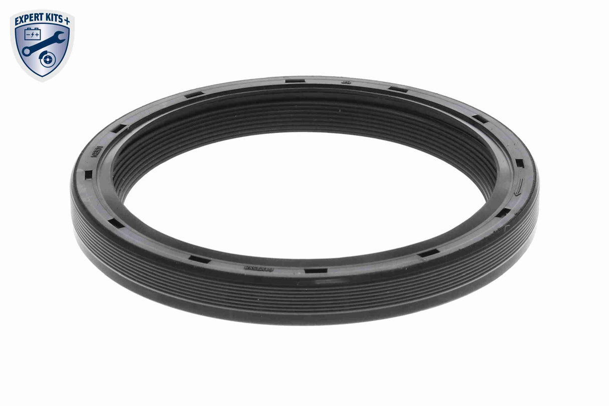 Timing Chain Kit - V20-10001