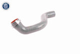Charge Air Hose - V46-0823