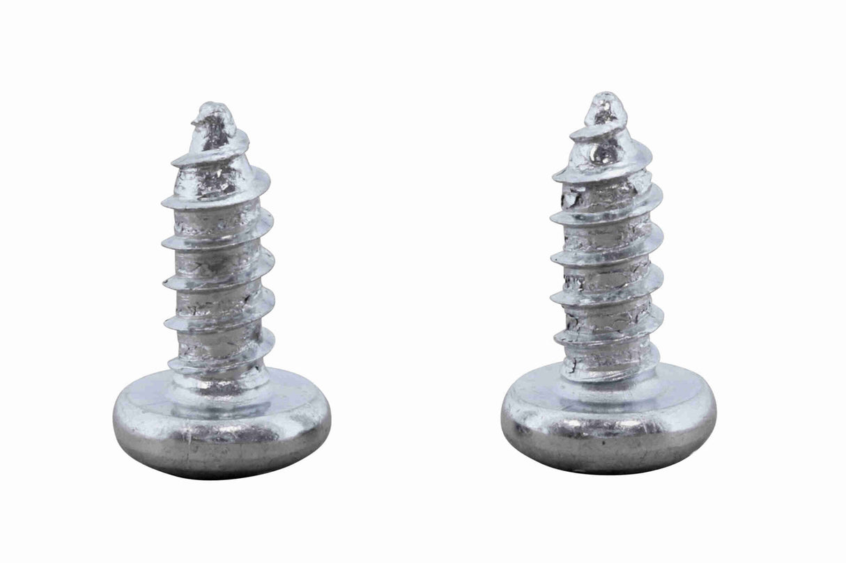 Licence Plate Light - V10-84-0067