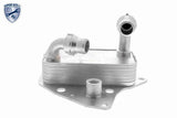 Oil Cooler, engine oil - V24-60-0051