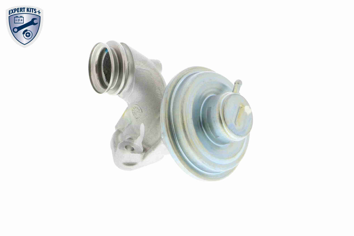 Valve, exhaust gas recirculation - V25-63-0013