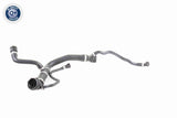 Radiator Hose - V20-0875