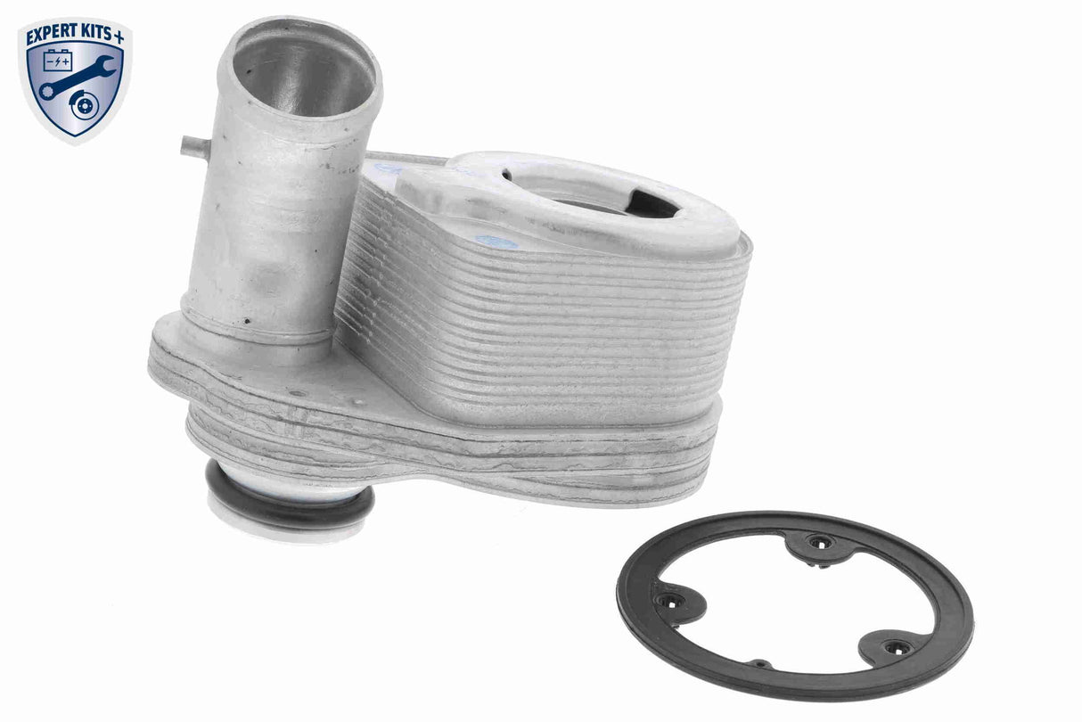 Oil Cooler, engine oil - V24-60-0011