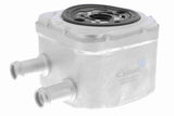 Oil Cooler, engine oil - V15-60-6013