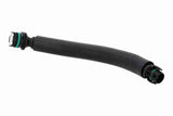 Hose, cylinder head cover ventilation - V20-5176
