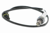 Oxygen Sensor - V30-76-0003