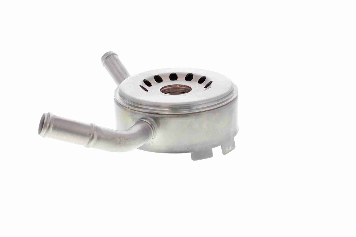 Oil Cooler, engine oil - V38-60-0011