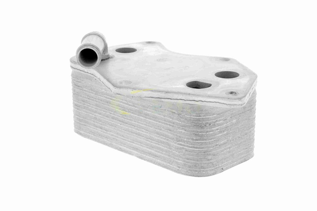 Oil Cooler, engine oil - V15-60-6074