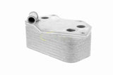 Oil Cooler, engine oil - V15-60-6074