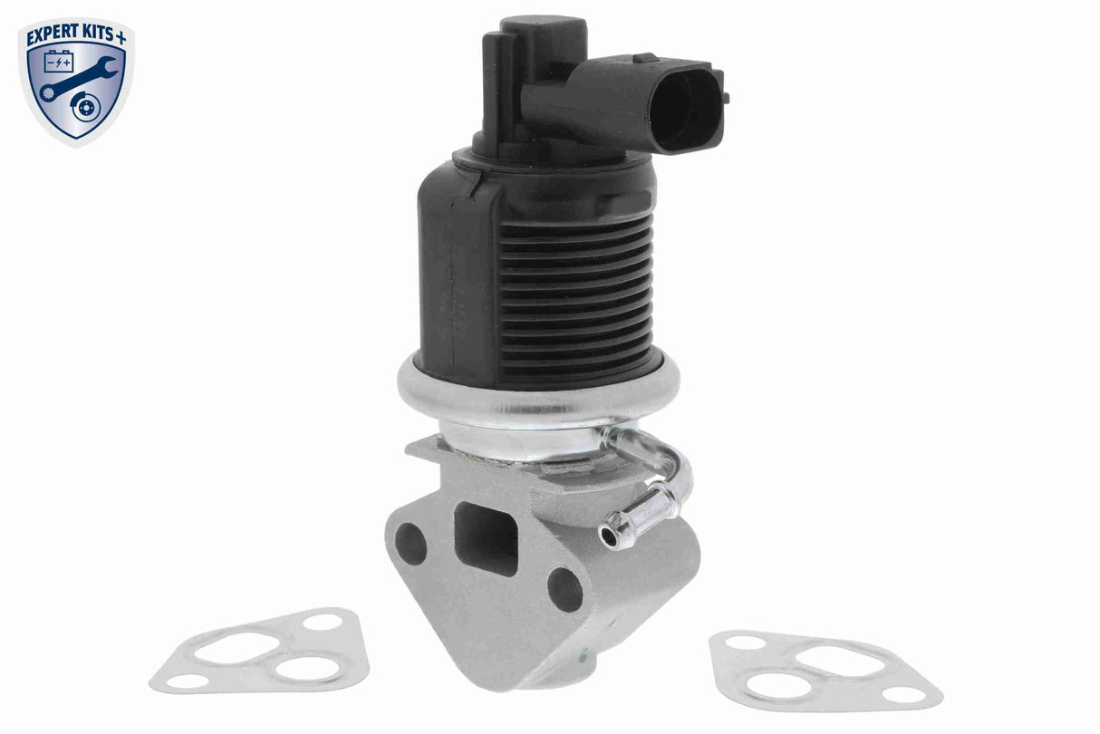 Valve, exhaust gas recirculation - V10-63-0003
