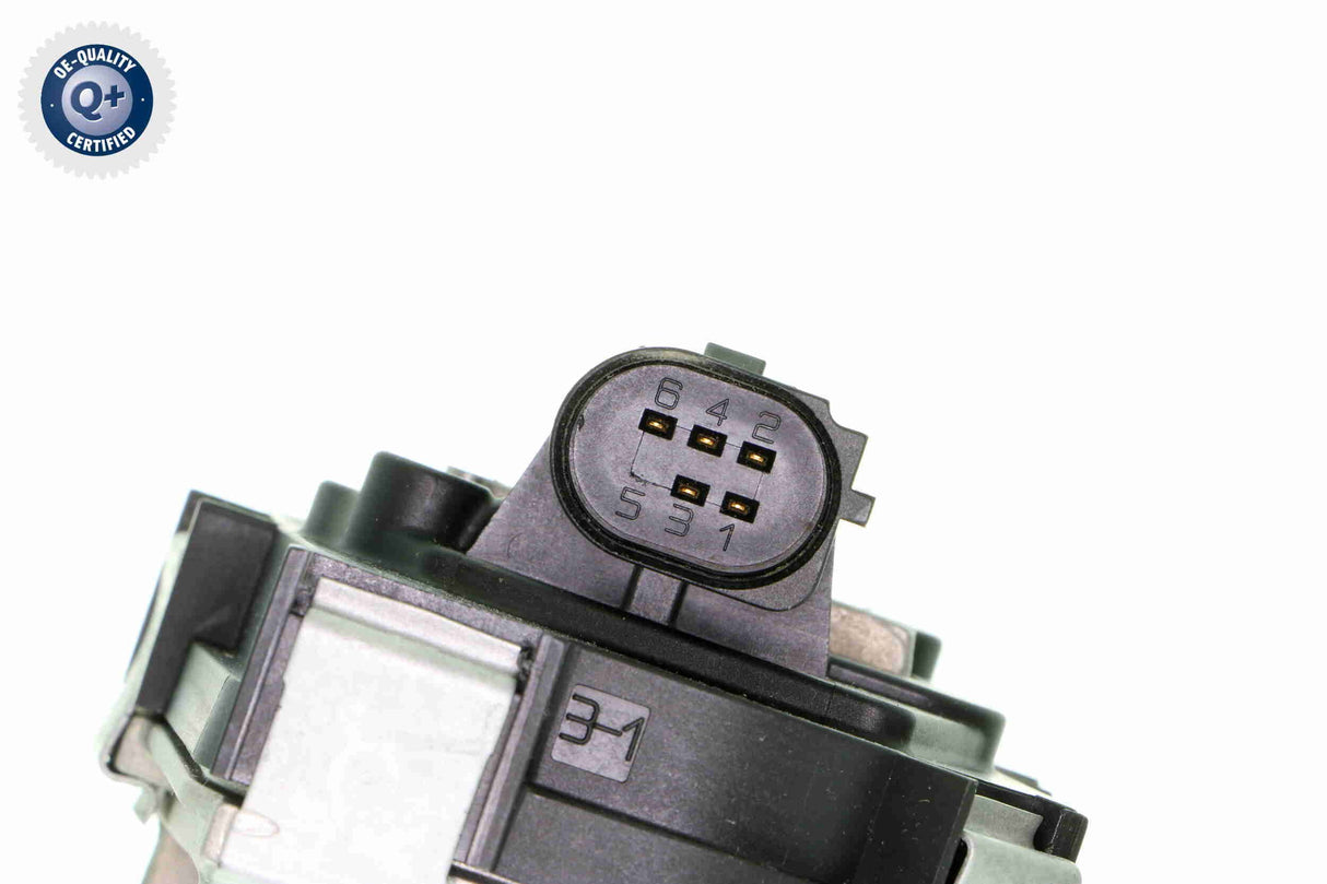 Throttle Body - V24-81-0010