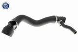 Radiator Hose - V20-3321