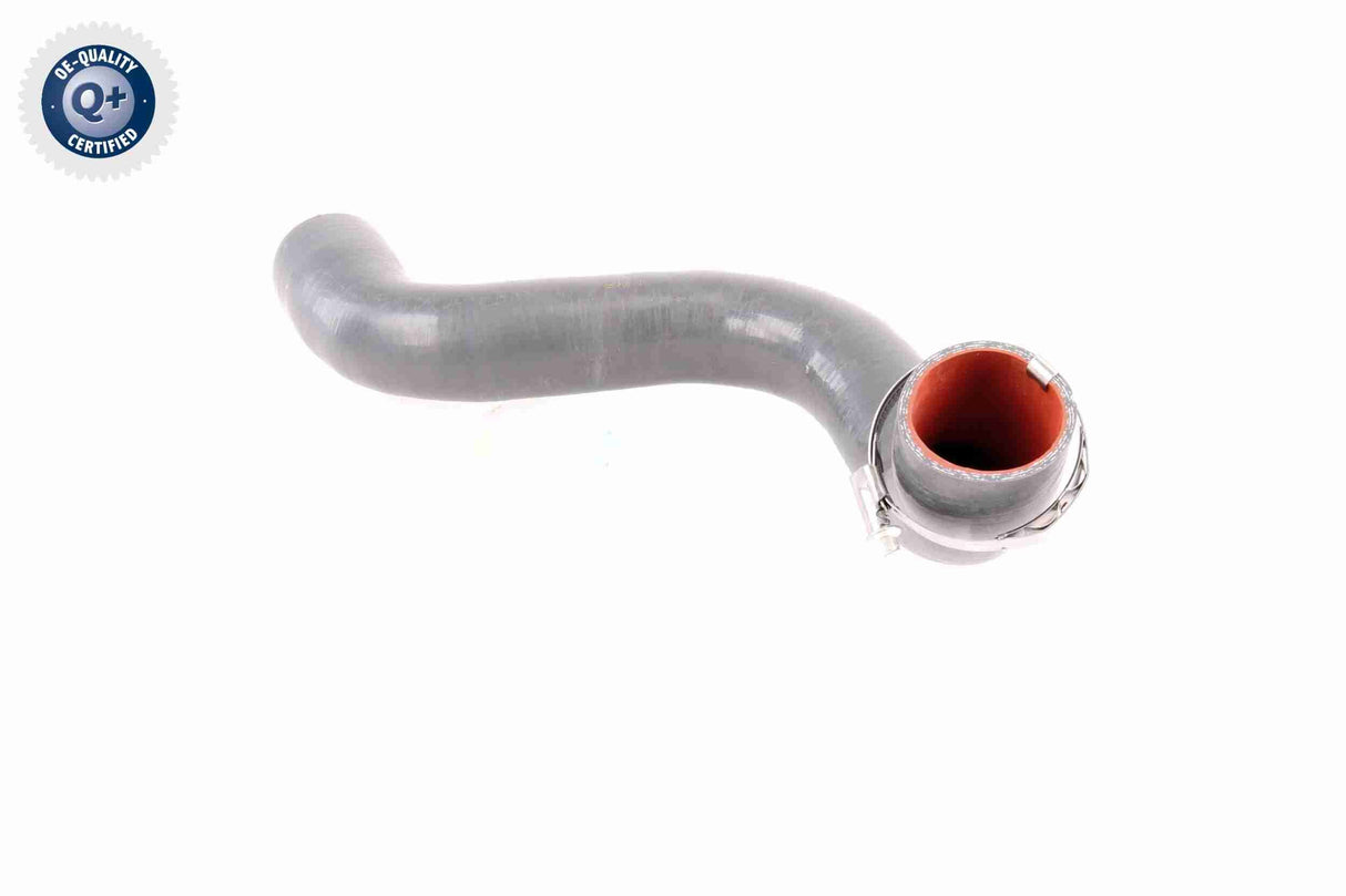 Charge Air Hose - V46-0823