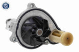 Water Pump, engine cooling - V20-50071