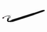 Electric Motor, tailgate - V10-55-0028